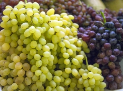 В Армении создадут Госфонд виноградарства и виноделия