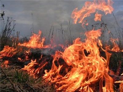 Խոշոր հրդեհ Հացավանում
