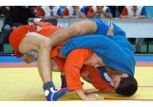 Armenian samboists gained two medals