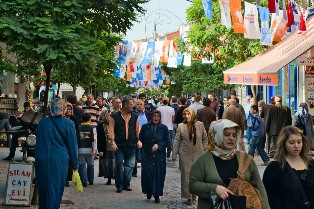Erdogan knocked by opinion poll results