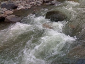 Corpse of Iranian citizen found in Goris gorge
