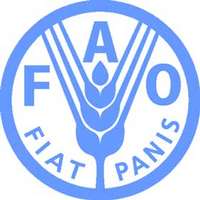 FAO. Սննդի համաշխարհային գները հոկտեմբերին աճել են 25 տոկոսով