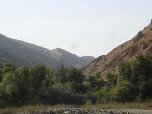 Հայաստանի անտառների որակական եւ քանակական ցուցանիշների գնահատման մոնիտորինգ կանց