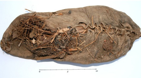 5,500-year-old moccasin among 2010 most amazing discoveries