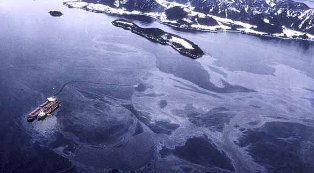 WikiLeaks: Azerbaijan, oil spill worse than Gulf of Mexico