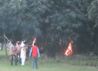 В Индии сельчане палками избили заблудившегося леопарда (видео)