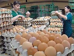 Национальная статистика Армении в очередной раз скрыла предновогодние подорожани