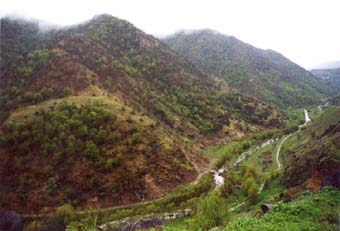 Hraparak: Armenian soldiers entered minefield and received severe injuries