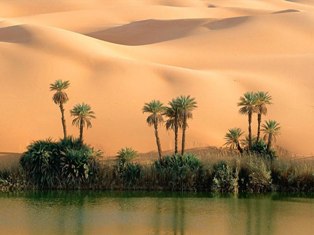 Armenian tour operators ready to organize tours to Tunisia despite the state of