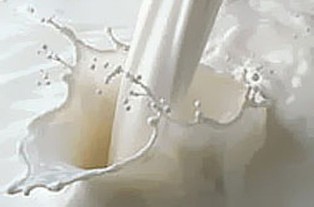 Armenian Minister of Agriculture to control milk market