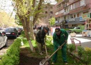 Yerevan landscaping culture needs radical reform
