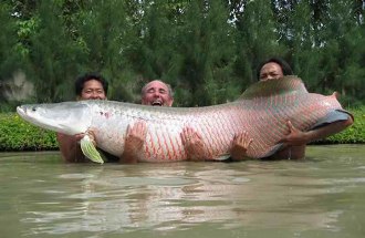 European experts to certify Armenian fish farms