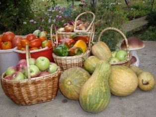 Armenia registers 13.5% decline in agriculture
