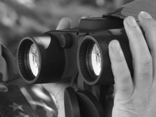 OSCE mission conducts monitoring of contact line