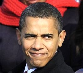 Obama officially launches re-election campaign