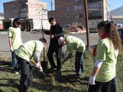В Ереване за один день посадят 15000 деревьев