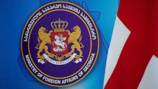 МИД Грузии не комментирует израильские претензии