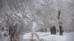 Թբիլիսիի ծայրամասում ձյուն է եկել