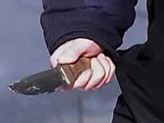 После нападения на одноклассников 16-летний Серж Арутюнян попытался выброситься