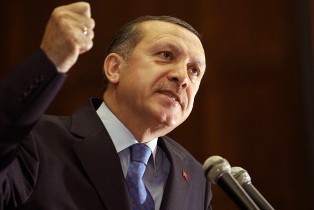 Эрдоган раскритиковал вооруженные силы Турции