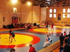 Հայ սամբիստների առաջին մեդալները Եվրոպայի առաջնությունում
