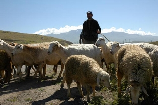 Գյուղատնտեսության ու էկոնոմիկայի նախարարությունները չեն հասցնում կատարել կառավար