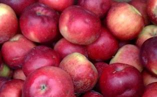 В апреле текущего года по сравнению с мартом снизились цены на некоторые сельско