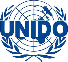 Հայաստանի փոխվարչապետը կարեւորել UNIDO-ի «ԵվրԱզԷՍ-ի երկրների միջեւ արդյունաբերակ