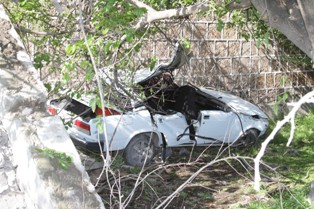 Driver dies as car hits tree in Armenia (Photo, video)