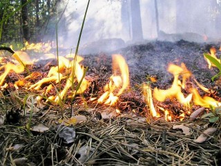 Հրդեհներ խոտածածկ տարածքներում