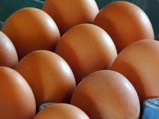 Ереванская птицефабрика изъяла из розничной сети партию своей продукции