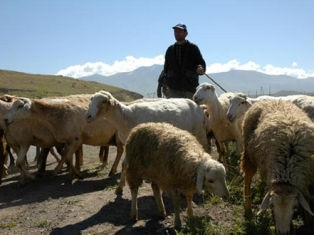 Փորձագետ. Ծրագիրը ներառում է աղքատության կայուն նվազման նոր մոտեցումներ
