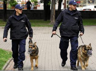 В Польше предотвращен крупный теракт
