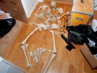 Шведка занималась сексом со скелетом