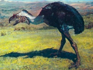 Гигантская птица диатрима была «спокойным травоядным»