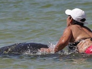 Американка сядет в тюрьму за катание на «морской корове»