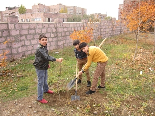 «Armenia Tree Project» этой осенью посадил свыше 28 тысяч деревьев
