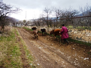 Man and woman beat each other over livestock grazing in Armenia