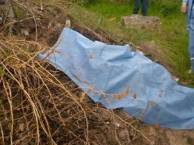 Brutal Yerevan murder is solved