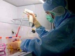 Австралийские ученые разработали  лекарство от СПИДа?