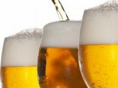 Հայաստանում ածիկի գործարանի կառուցումը նախատեսվում է ավարտել 2014 թ-ին