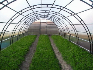 «Կագա Գրուփը» Հայաստանում հոլանդական ջերմոցներ կհիմնի