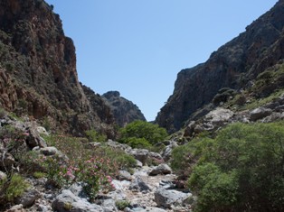 Armenian youth descend canyon but could not come out