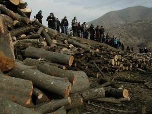 ՀԿ-ներն իրավունք ունեն դիմելու դատարան. կառավարությունը խախտել է Օրհուսի կոնվենց