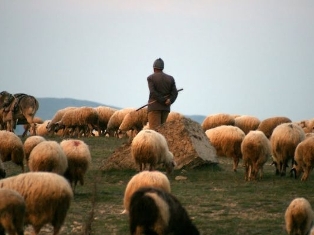 Shepherd killed on Armenian border was firing at Russian border guards - Turkish