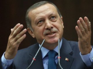 Turkish PM says limited military action in Syria is not enough