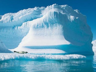 Արկտիկայի սառցե ծածկույթը մեկ տարվա ընթացքում ավելացել է 40 տոկոսով