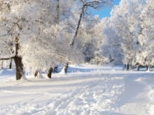 Грядущая зима в Европе может стать самой холодной за 100 лет