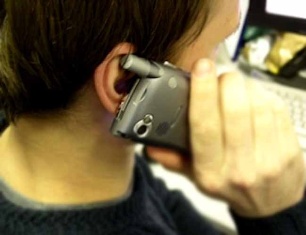 Грузинских министров разыграл пародист в роли президента