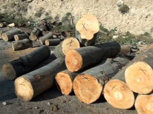 «Շիրակ կենտրոնը» կոչ է անում գյումրեցի անօթեւան ընտանիքներին ապահովել ձմռան վառե